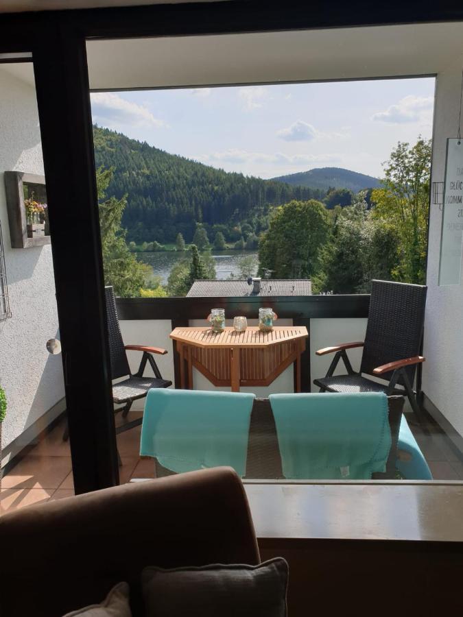 Ferienwohnung Zeitlos, Gigantischer Seeblick, Wlan, Gerne Mit Hund Winterberg Ngoại thất bức ảnh